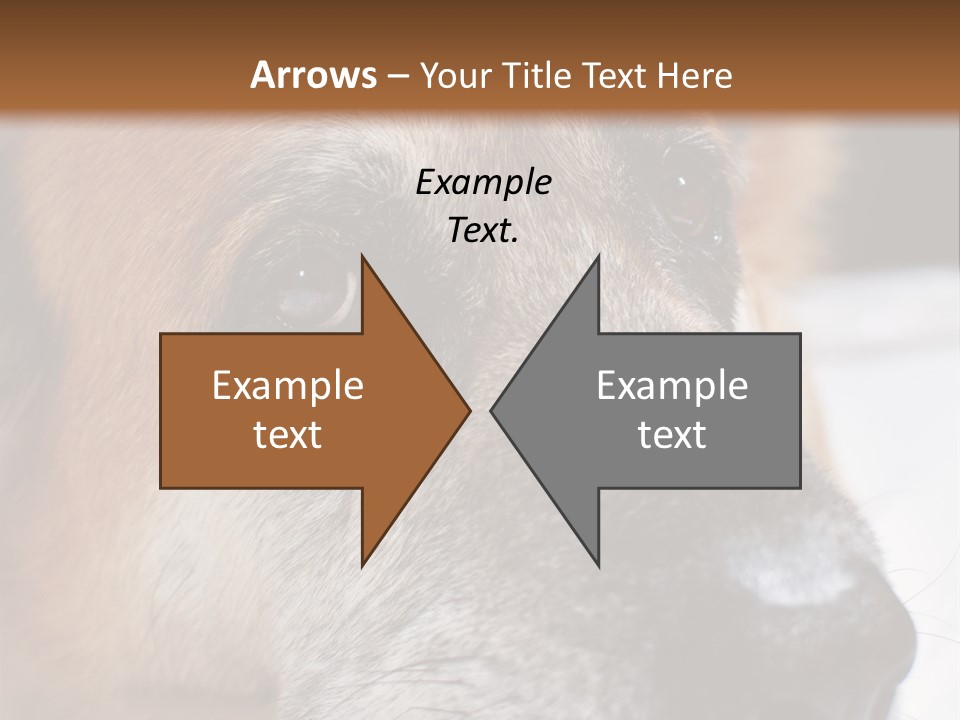 Eyes Vertical Tired PowerPoint Template