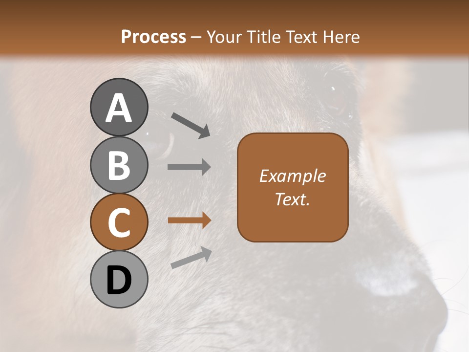 Eyes Vertical Tired PowerPoint Template