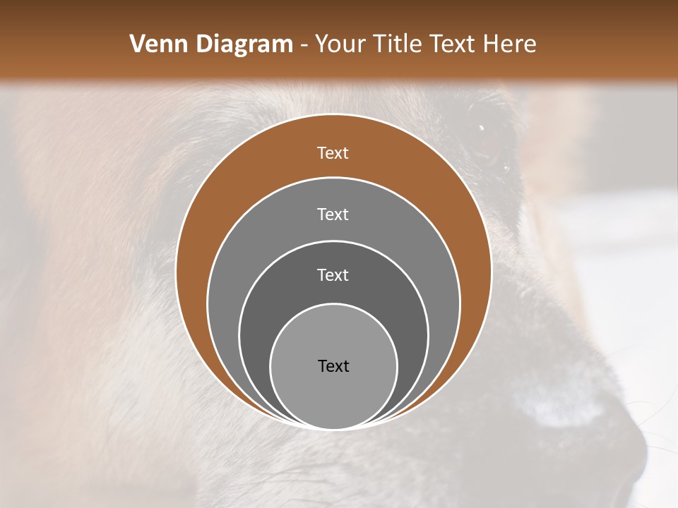 Eyes Vertical Tired PowerPoint Template