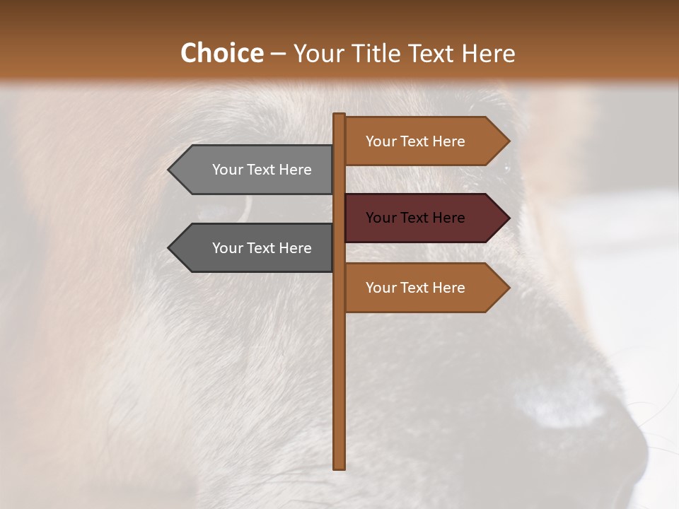 Eyes Vertical Tired PowerPoint Template