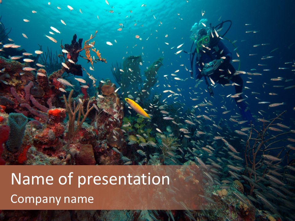 Schooling Snapper Diver Coral Reef Fish PowerPoint Template