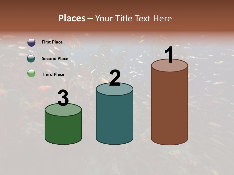 Schooling Snapper Diver Coral Reef Fish PowerPoint Template