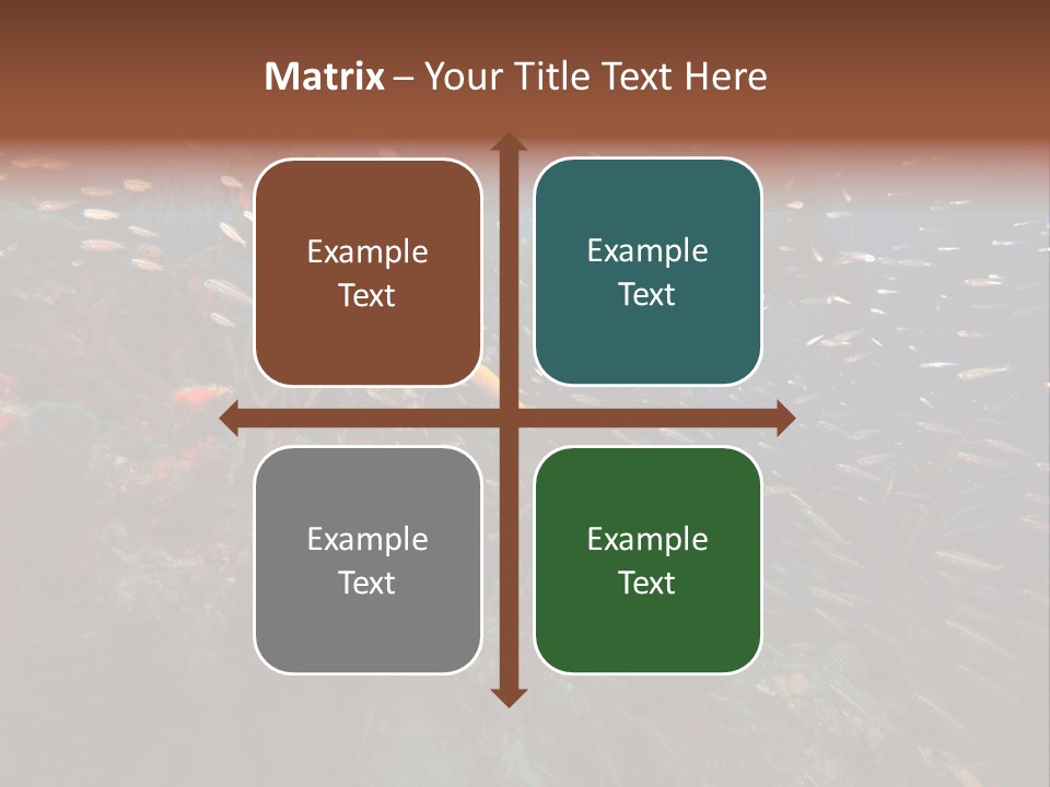 Schooling Snapper Diver Coral Reef Fish PowerPoint Template