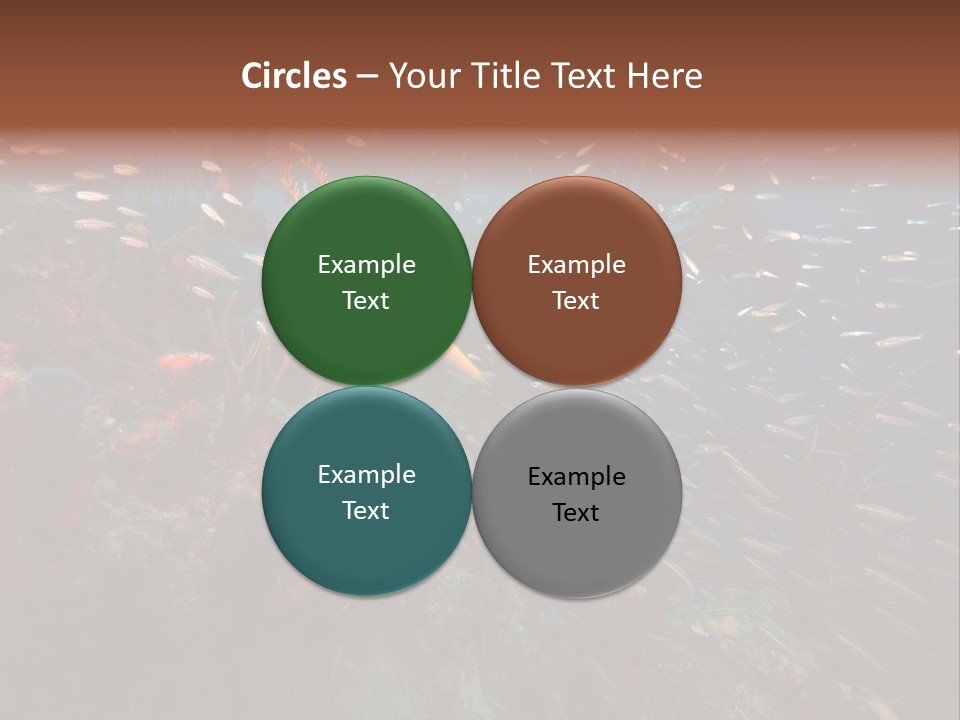 Schooling Snapper Diver Coral Reef Fish PowerPoint Template