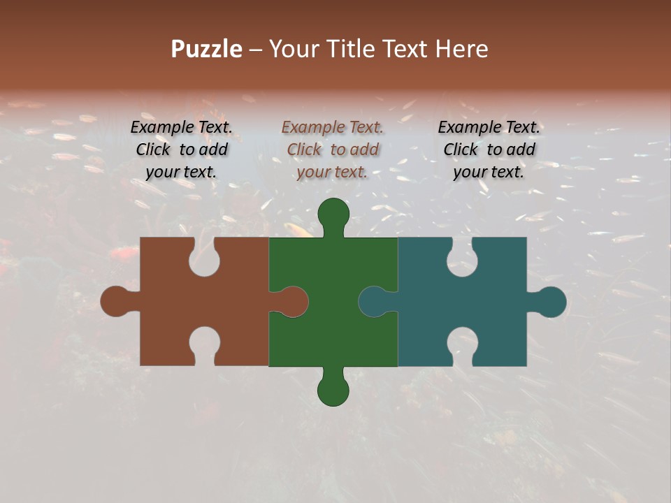 Schooling Snapper Diver Coral Reef Fish PowerPoint Template