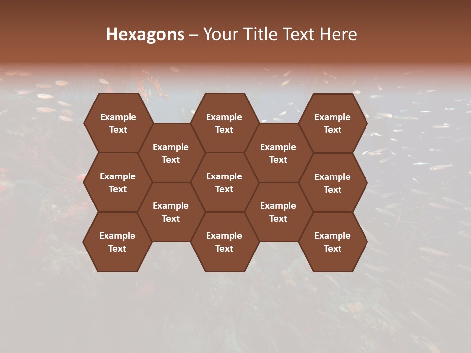 Schooling Snapper Diver Coral Reef Fish PowerPoint Template