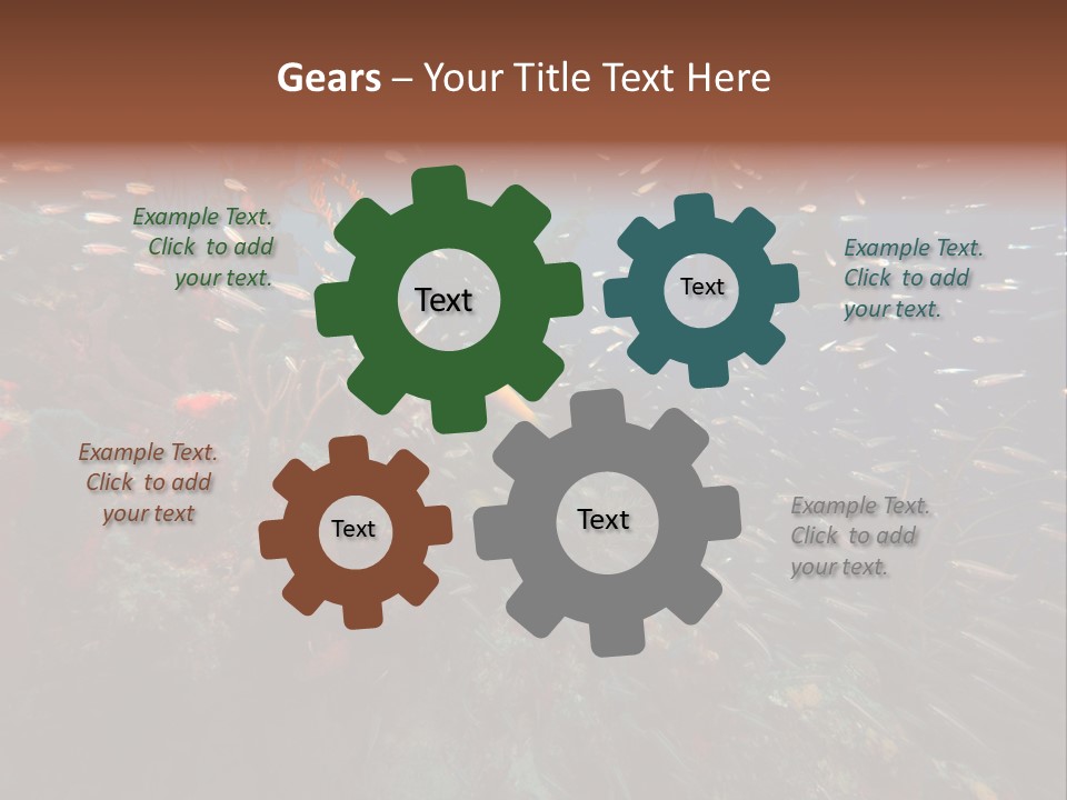 Schooling Snapper Diver Coral Reef Fish PowerPoint Template