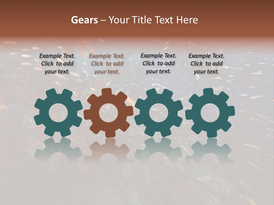 Schooling Snapper Diver Coral Reef Fish PowerPoint Template