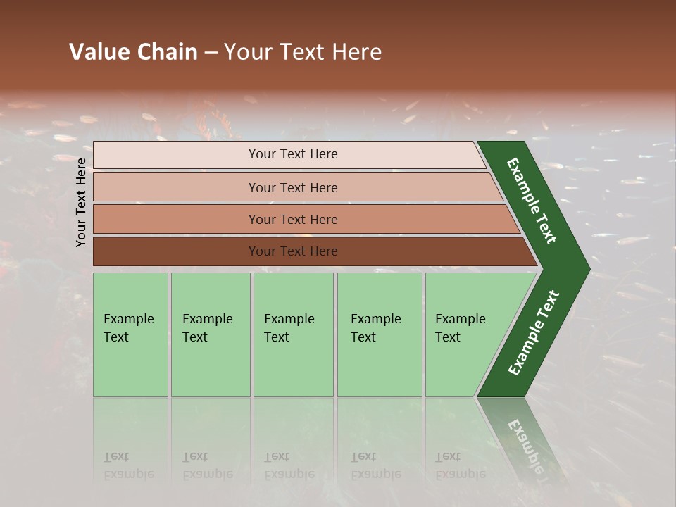 Schooling Snapper Diver Coral Reef Fish PowerPoint Template