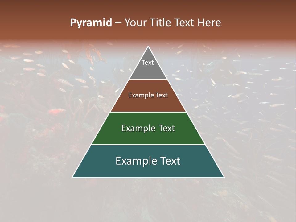 Schooling Snapper Diver Coral Reef Fish PowerPoint Template