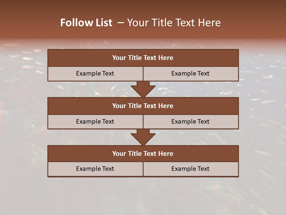 Schooling Snapper Diver Coral Reef Fish PowerPoint Template