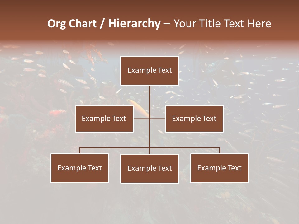 Schooling Snapper Diver Coral Reef Fish PowerPoint Template