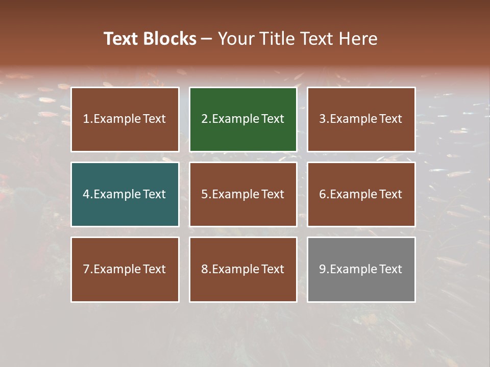 Schooling Snapper Diver Coral Reef Fish PowerPoint Template