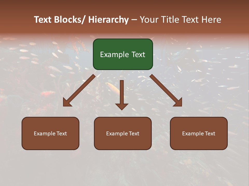 Schooling Snapper Diver Coral Reef Fish PowerPoint Template