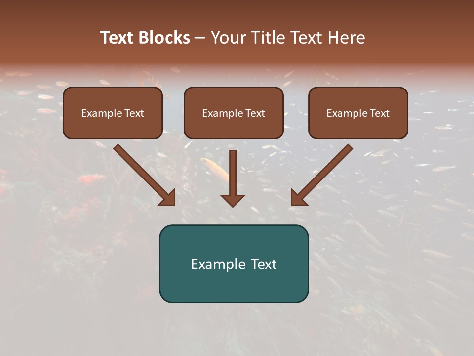 Schooling Snapper Diver Coral Reef Fish PowerPoint Template
