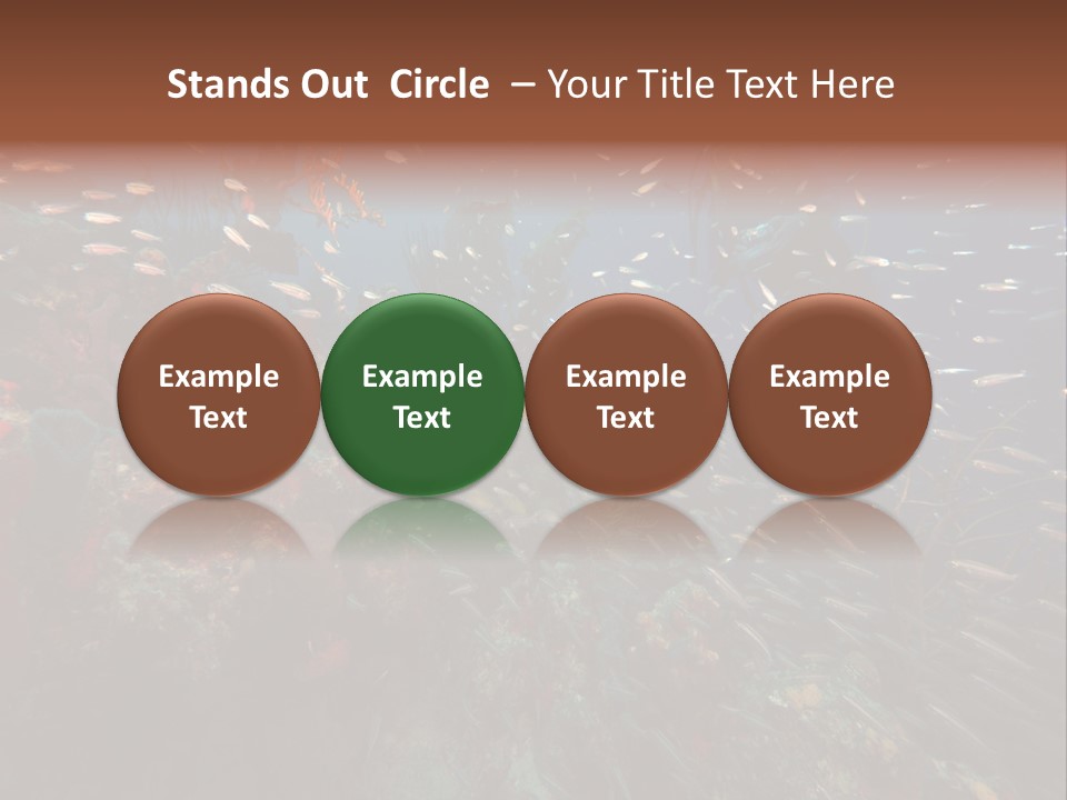 Schooling Snapper Diver Coral Reef Fish PowerPoint Template