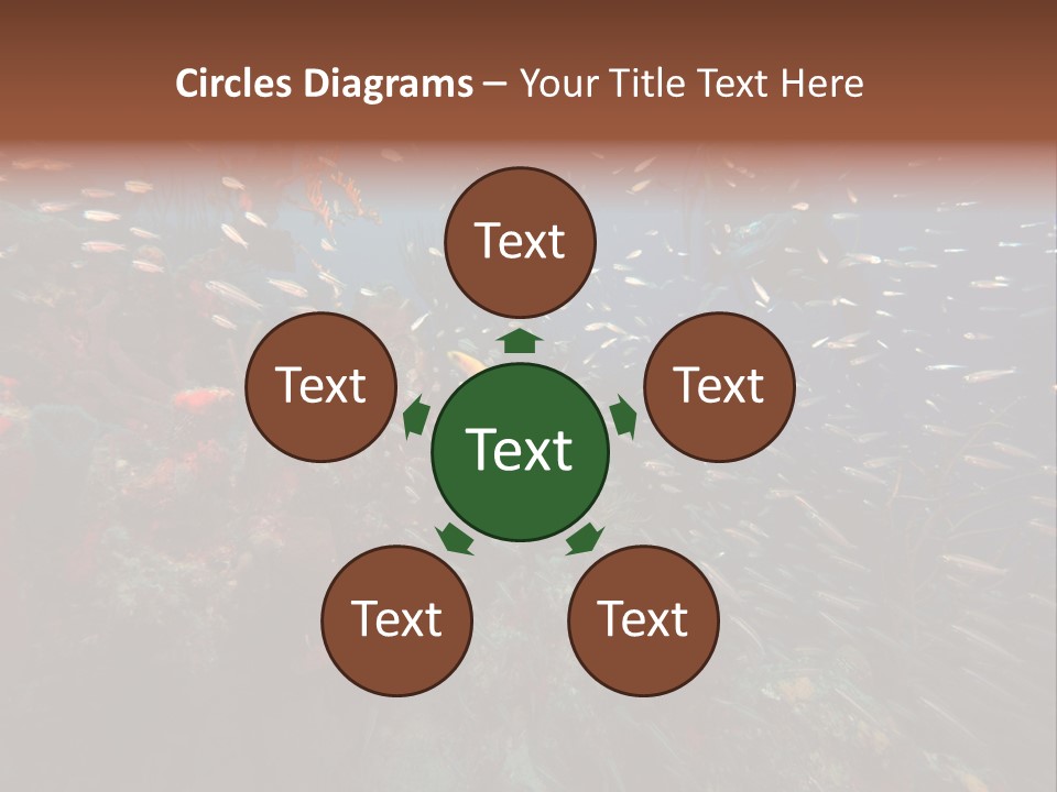 Schooling Snapper Diver Coral Reef Fish PowerPoint Template