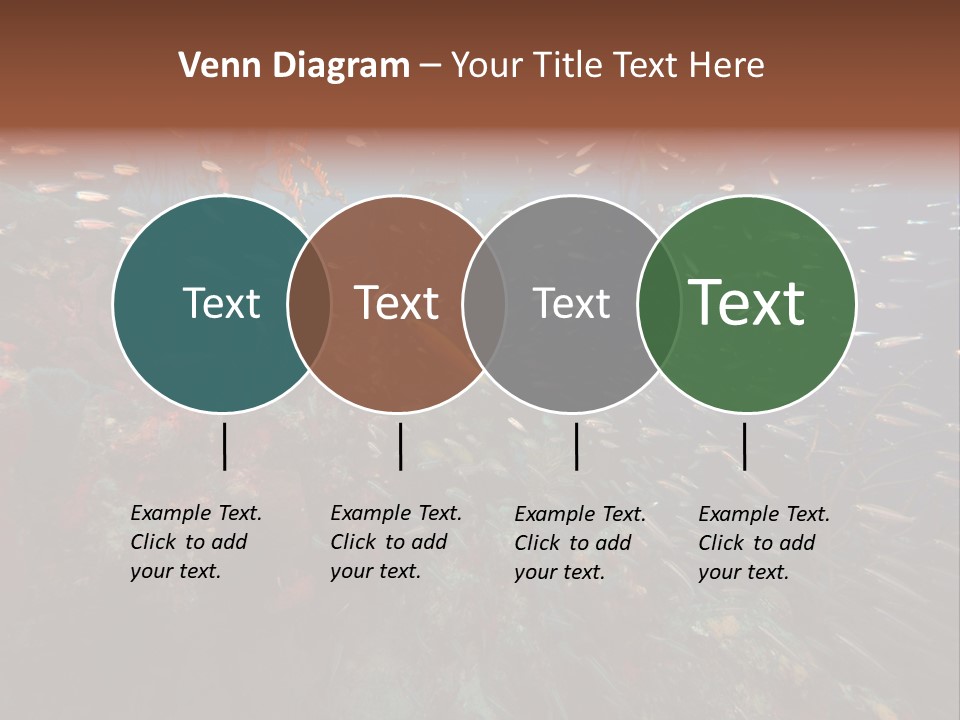 Schooling Snapper Diver Coral Reef Fish PowerPoint Template