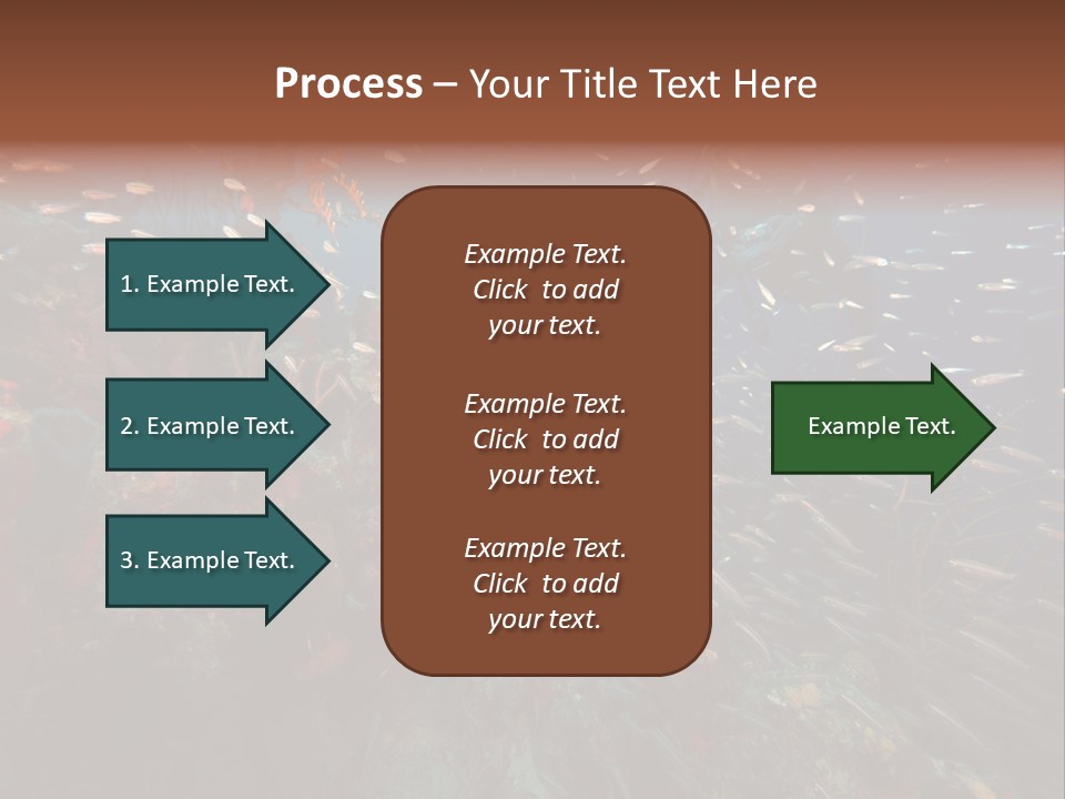 Schooling Snapper Diver Coral Reef Fish PowerPoint Template