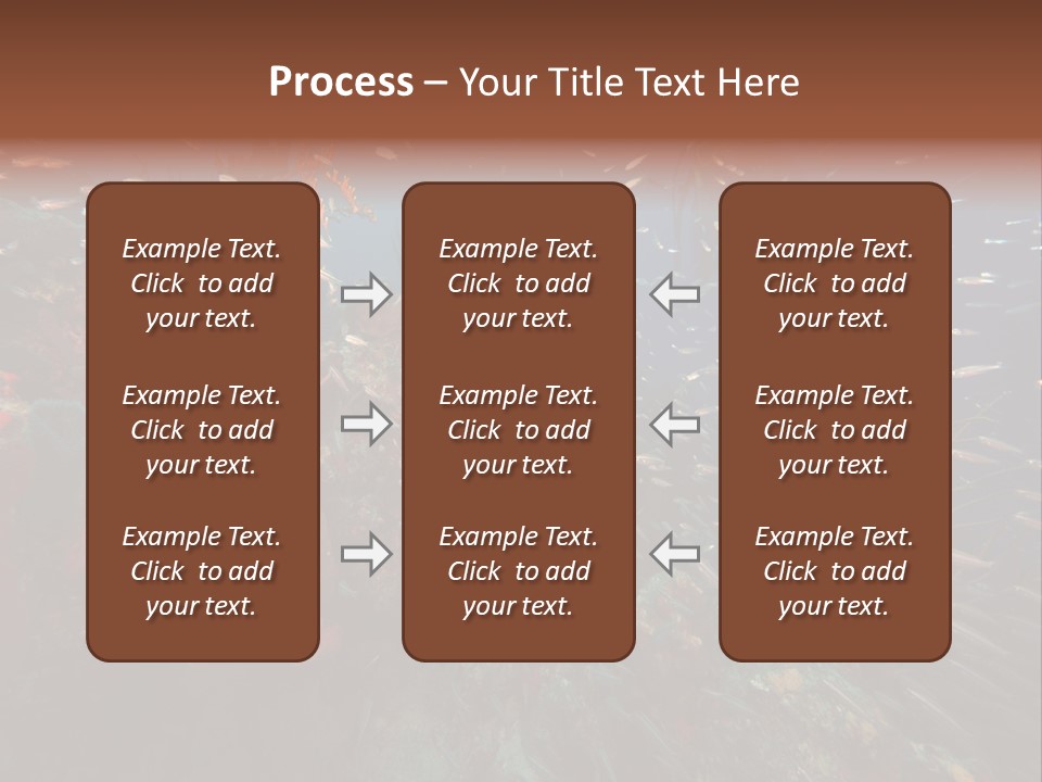 Schooling Snapper Diver Coral Reef Fish PowerPoint Template