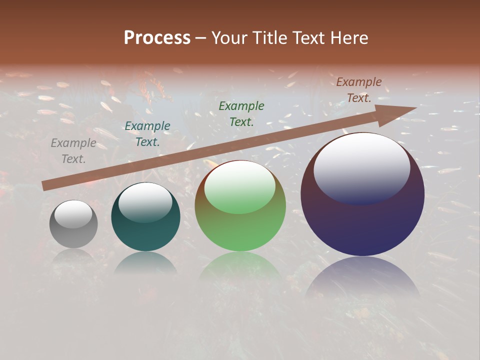 Schooling Snapper Diver Coral Reef Fish PowerPoint Template