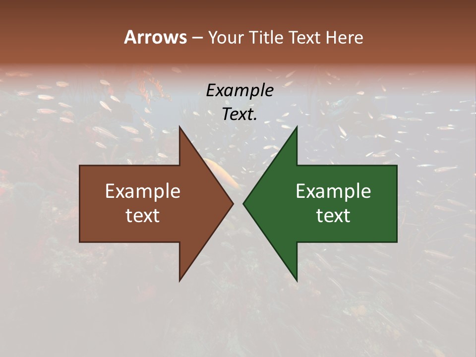 Schooling Snapper Diver Coral Reef Fish PowerPoint Template