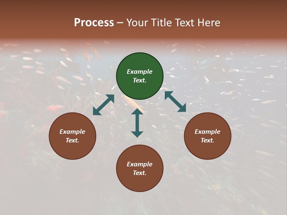 Schooling Snapper Diver Coral Reef Fish PowerPoint Template