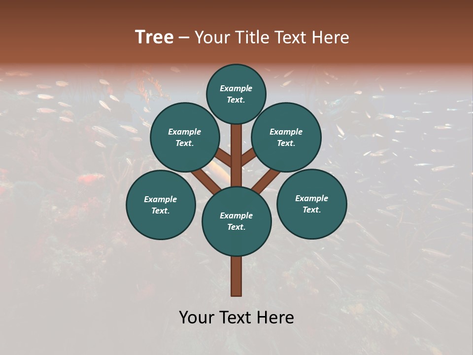 Schooling Snapper Diver Coral Reef Fish PowerPoint Template