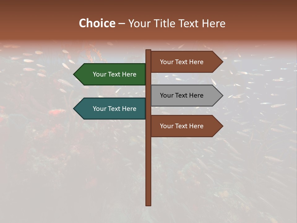 Schooling Snapper Diver Coral Reef Fish PowerPoint Template