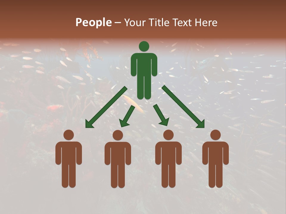 Schooling Snapper Diver Coral Reef Fish PowerPoint Template