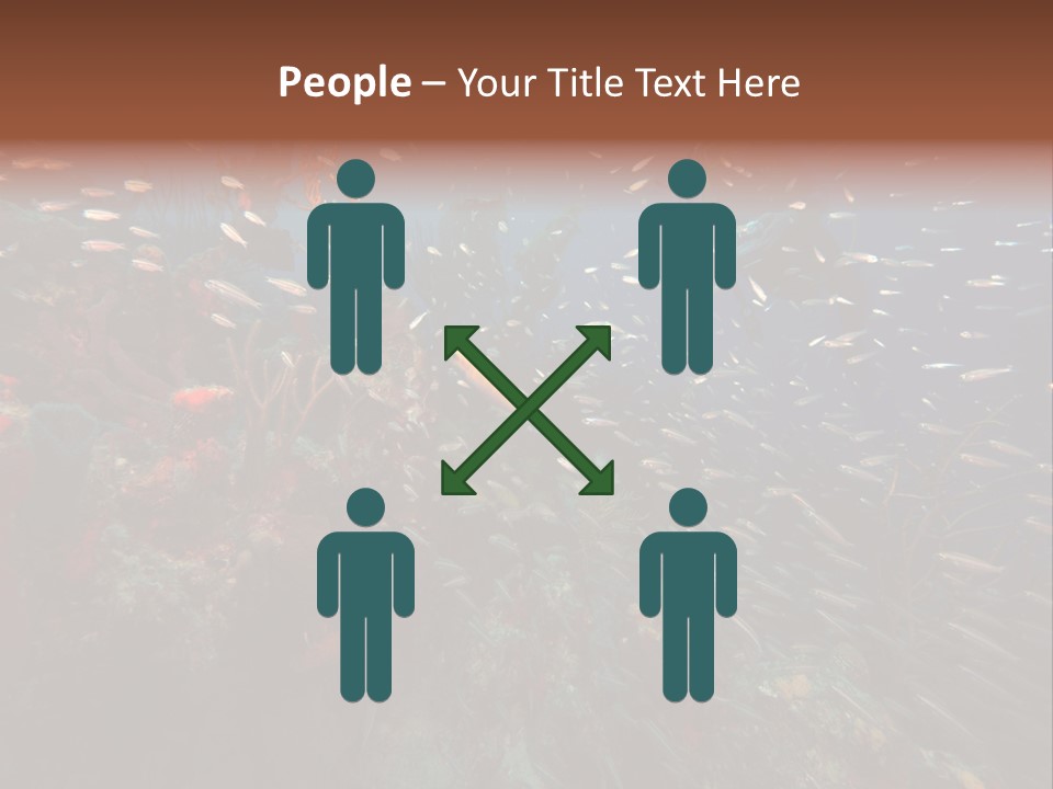 Schooling Snapper Diver Coral Reef Fish PowerPoint Template