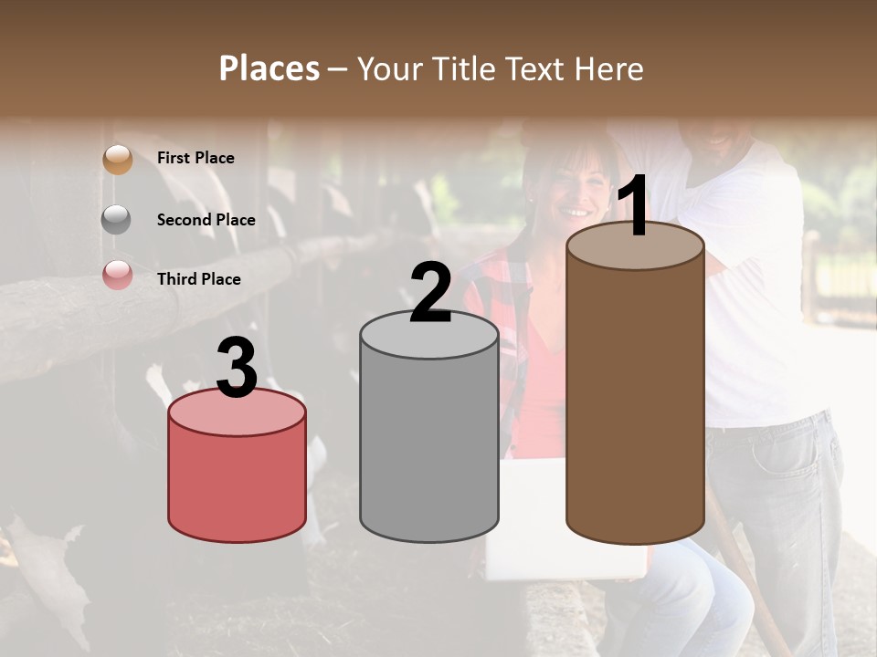 Couple Cattle Saw Dust PowerPoint Template