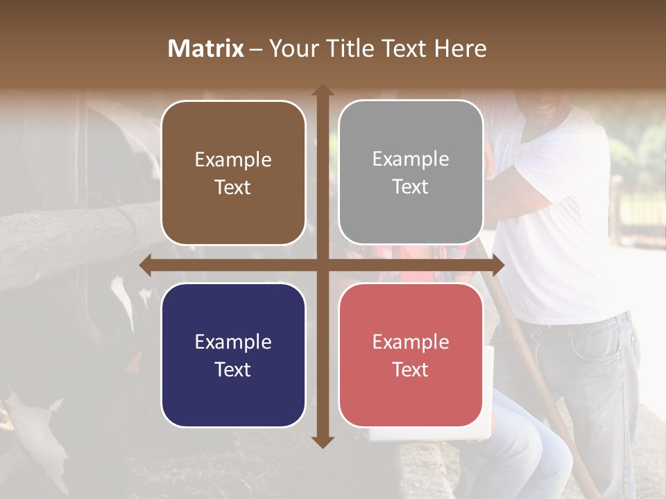 Couple Cattle Saw Dust PowerPoint Template