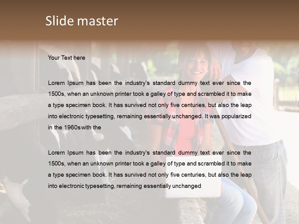 Couple Cattle Saw Dust PowerPoint Template