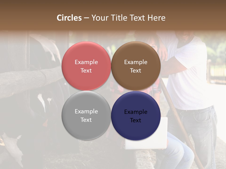 Couple Cattle Saw Dust PowerPoint Template