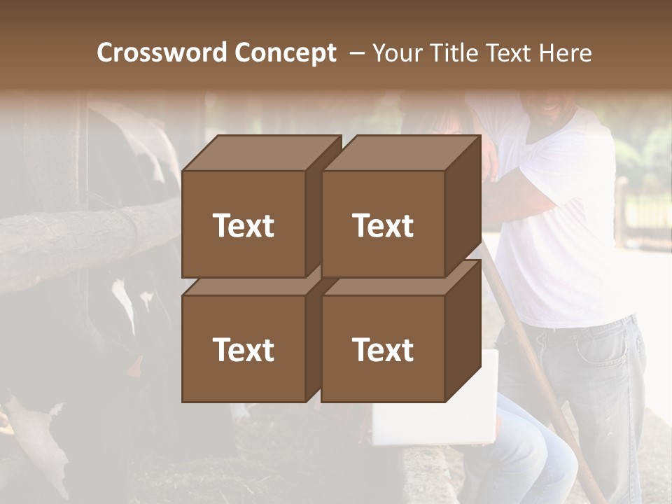 Couple Cattle Saw Dust PowerPoint Template