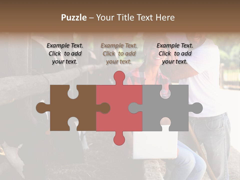 Couple Cattle Saw Dust PowerPoint Template