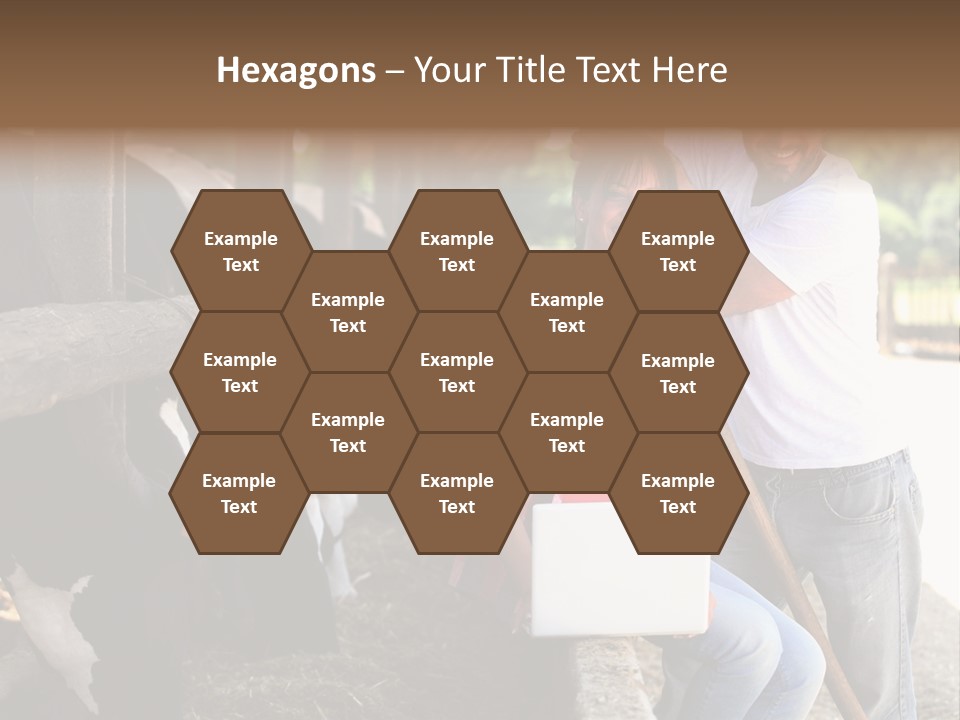 Couple Cattle Saw Dust PowerPoint Template