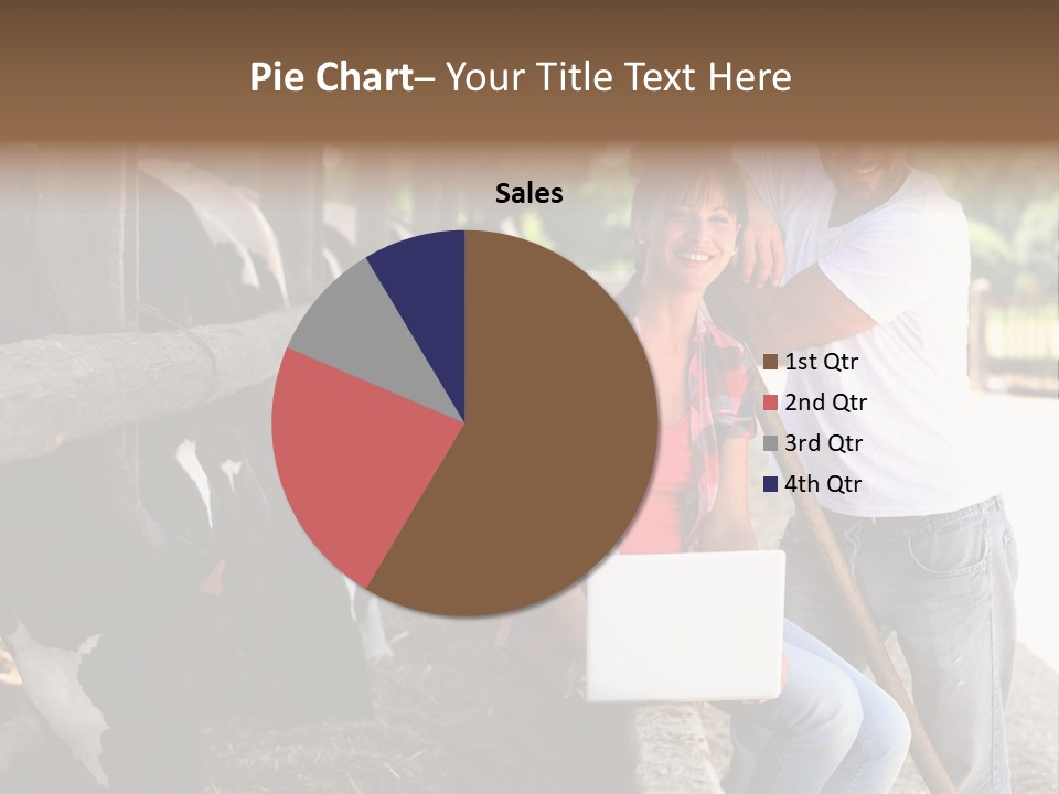 Couple Cattle Saw Dust PowerPoint Template