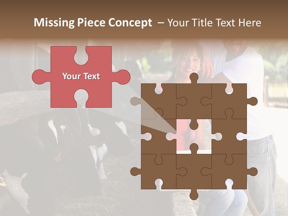 Couple Cattle Saw Dust PowerPoint Template