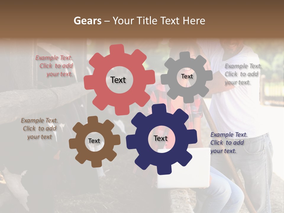 Couple Cattle Saw Dust PowerPoint Template