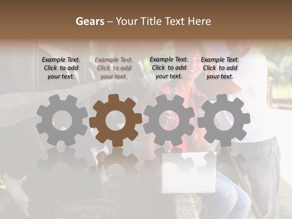 Couple Cattle Saw Dust PowerPoint Template