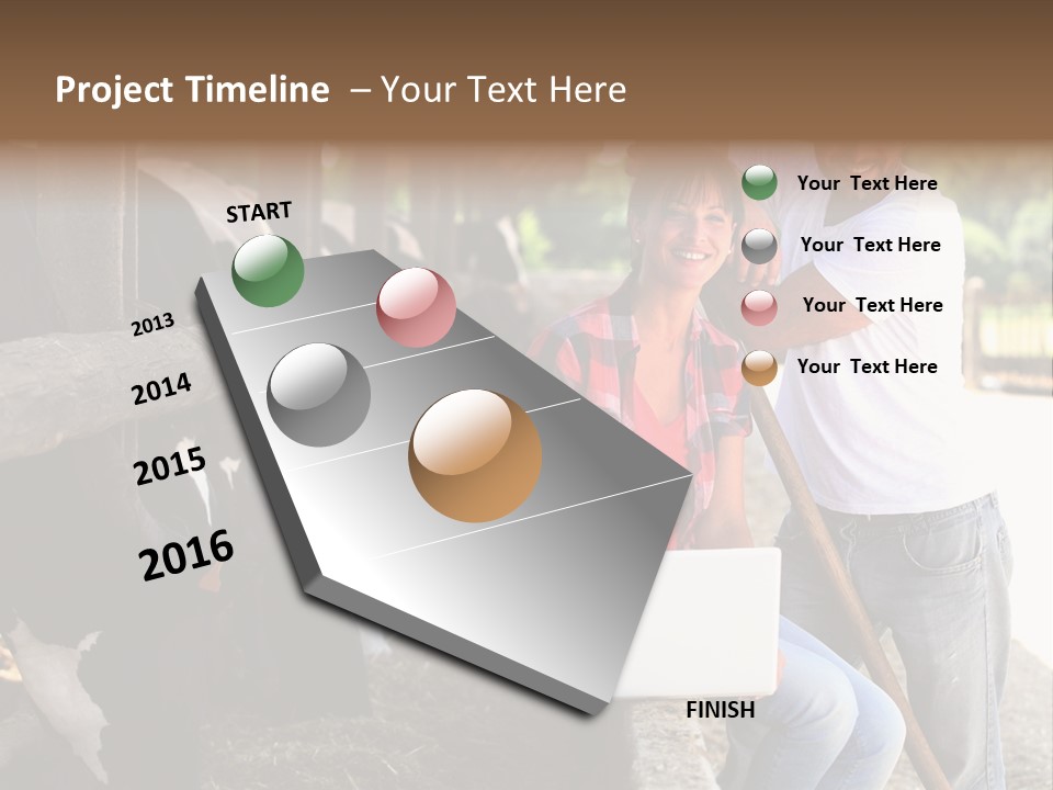 Couple Cattle Saw Dust PowerPoint Template