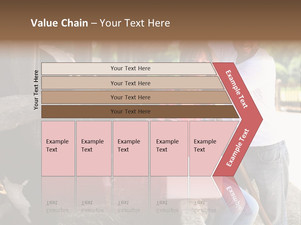 Couple Cattle Saw Dust PowerPoint Template