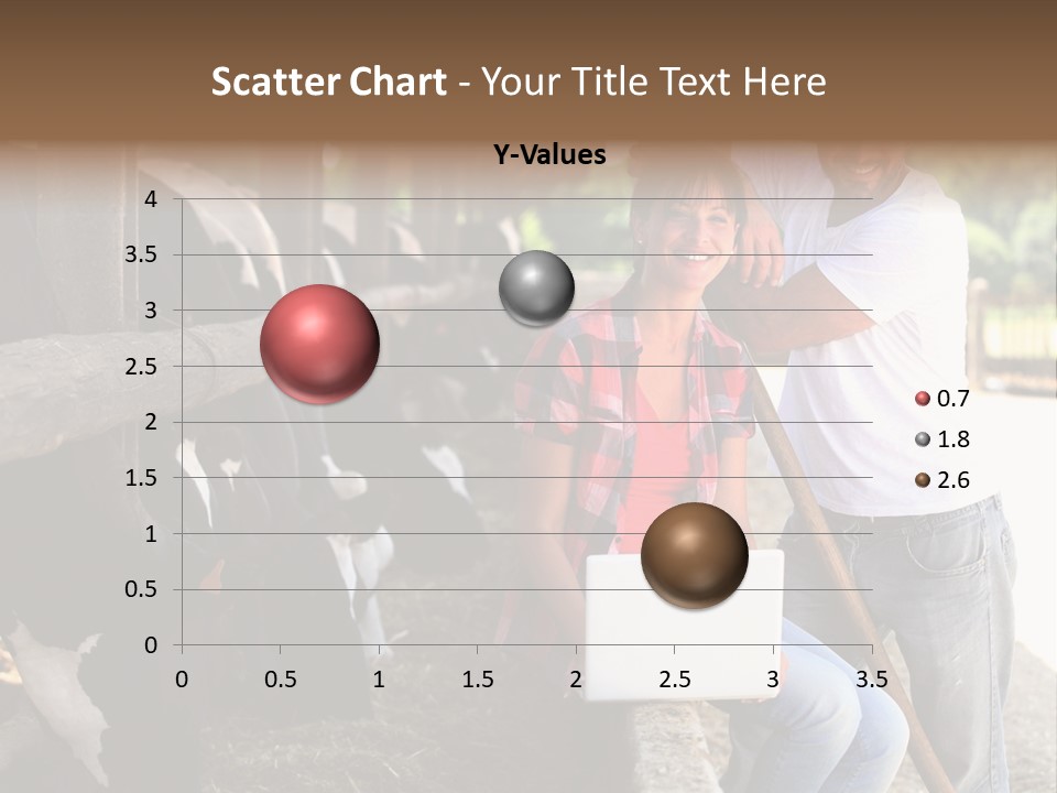 Couple Cattle Saw Dust PowerPoint Template