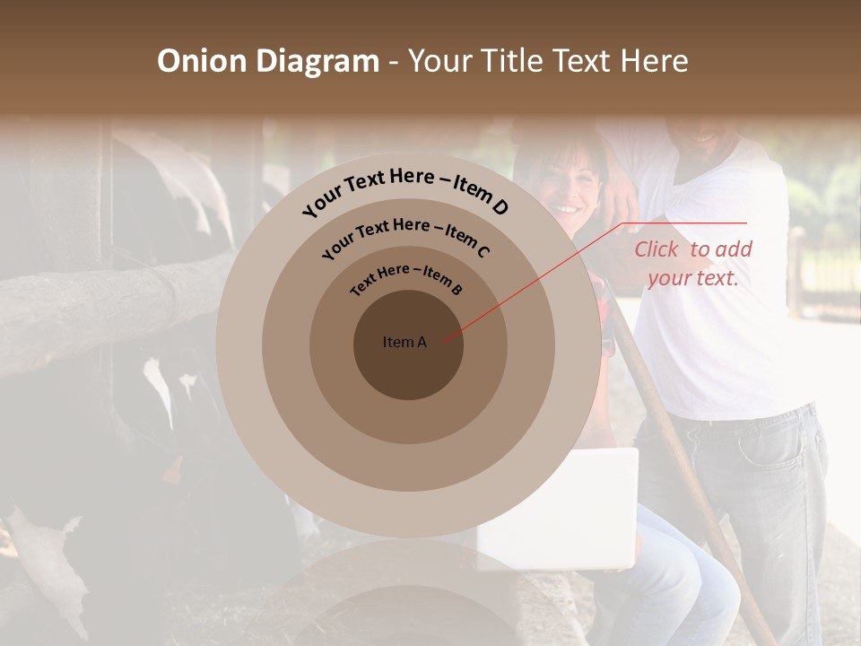 Couple Cattle Saw Dust PowerPoint Template