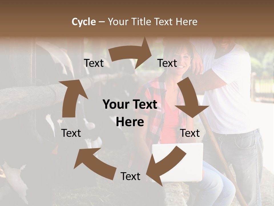 Couple Cattle Saw Dust PowerPoint Template