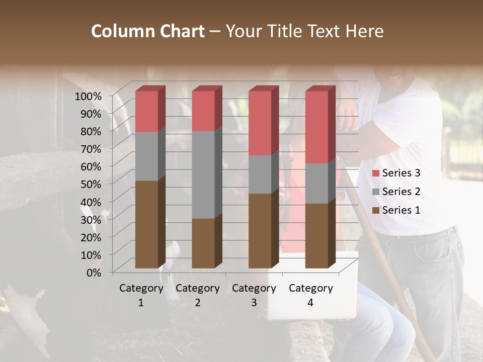 Couple Cattle Saw Dust PowerPoint Template