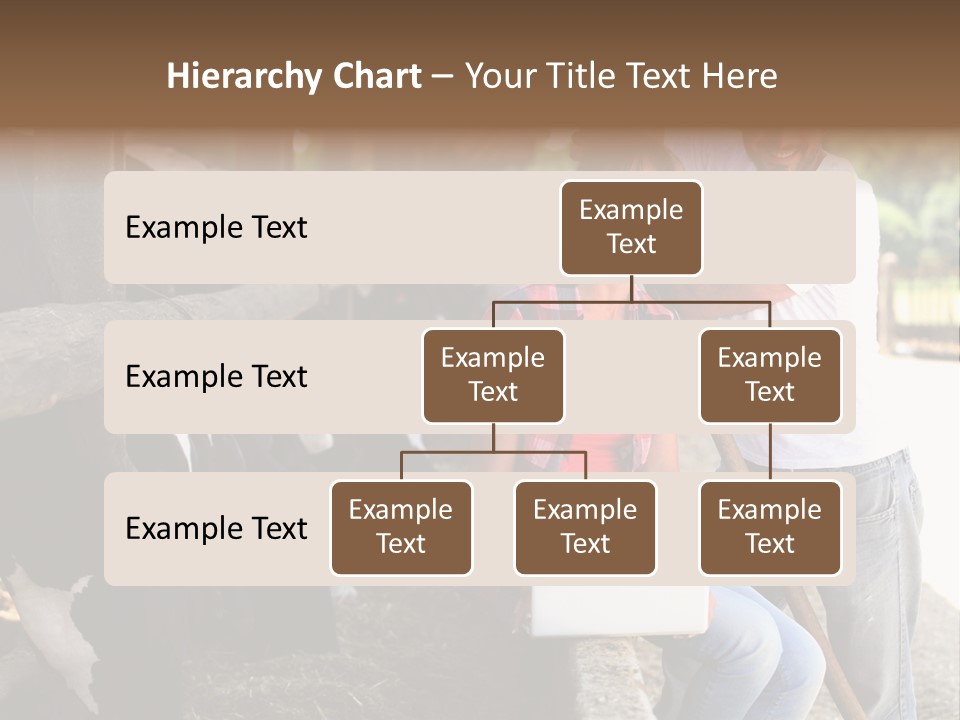 Couple Cattle Saw Dust PowerPoint Template