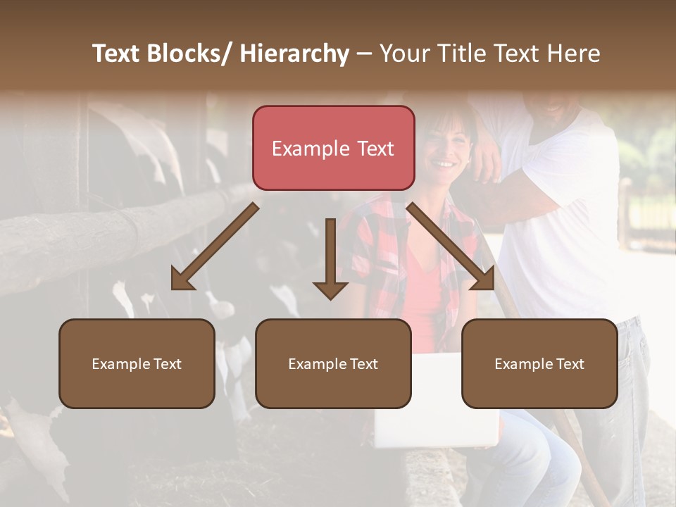 Couple Cattle Saw Dust PowerPoint Template